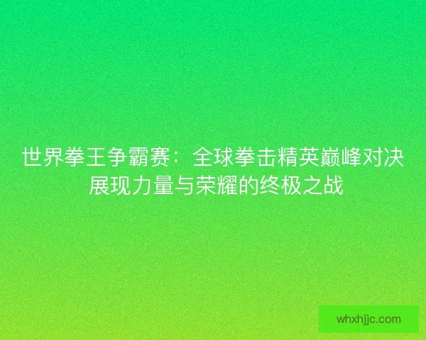 世界拳王争霸赛：全球拳击精英巅峰对决 展现力量与荣耀的终极之战