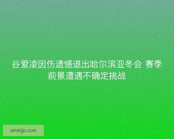 谷爱凌因伤遗憾退出哈尔滨亚冬会 赛季前景遭遇不确定挑战