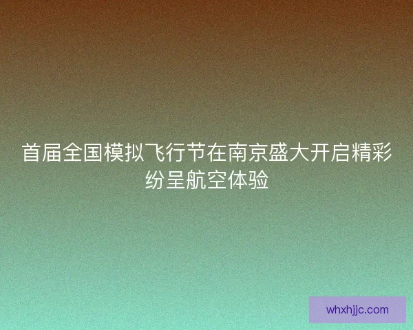 首届全国模拟飞行节在南京盛大开启精彩纷呈航空体验