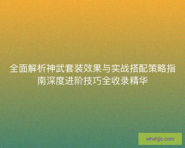 全面解析神武套装效果与实战搭配策略指南深度进阶技巧全收录精华